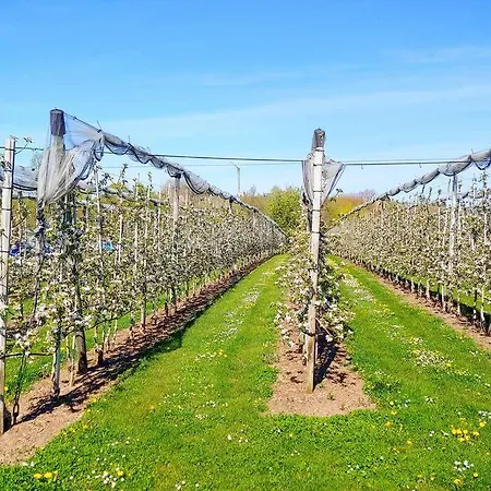 Rodtsches Palais 6 *