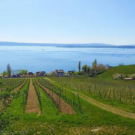 Rodtsches Palais 6 דירה *